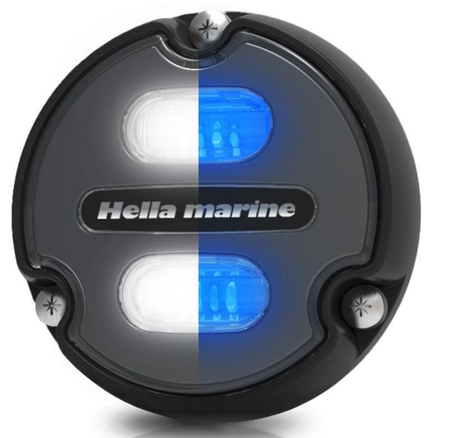 Hella Apelo A1 λευκό/μπλε, ανθρακίτης