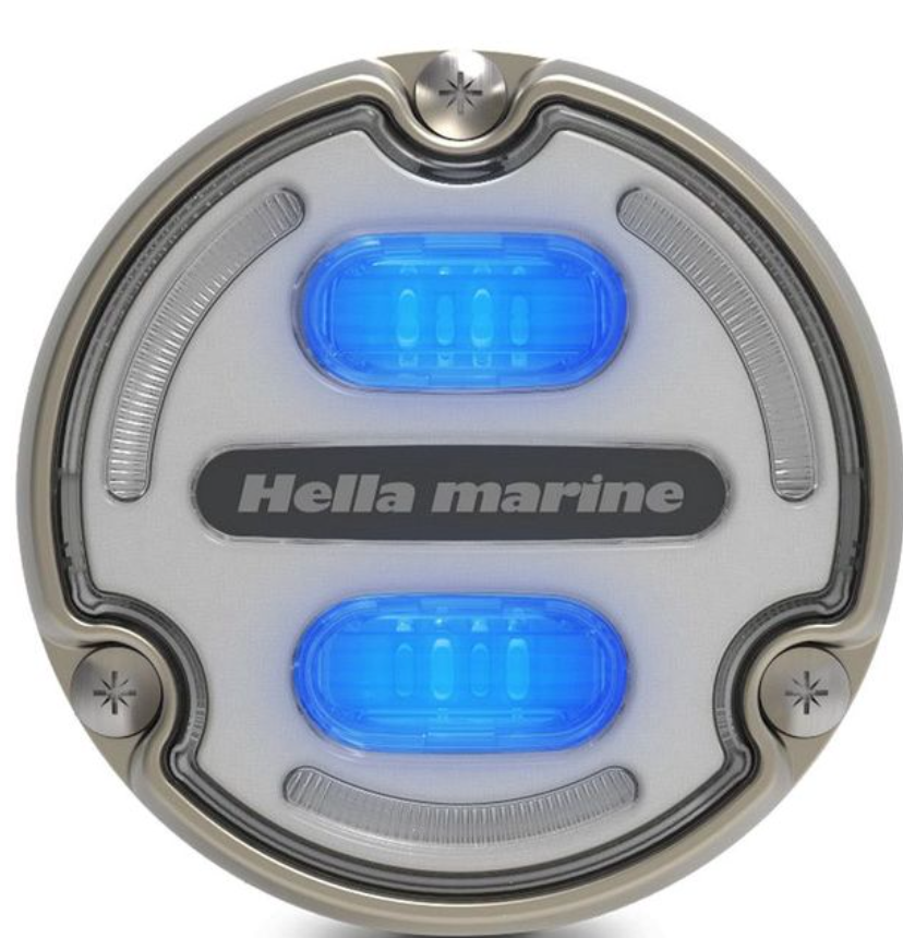 Hella Apelo A2 B/W bronze, white