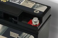 FORSTER 20Ah 12,8V Lithium Fishing Batterie | BMS | Smart...