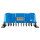 Victron BlueSolar MPPT 100/50 - no bluetooth