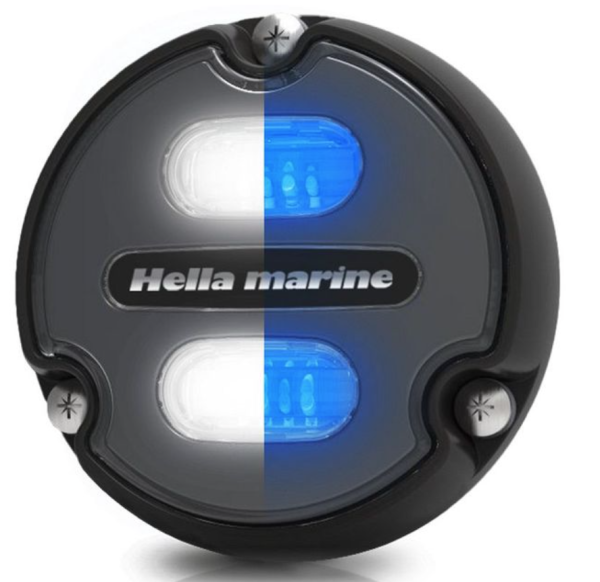 Hella Apelo A1 weiß/blau, anthrazit